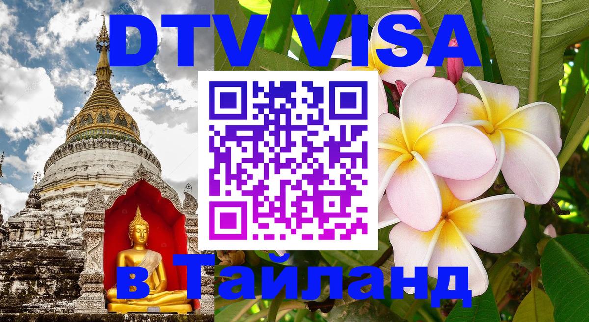 Сколько стоит DTV виза — актуальные цены, оформление даже без документов - Минск  18.11.2025 